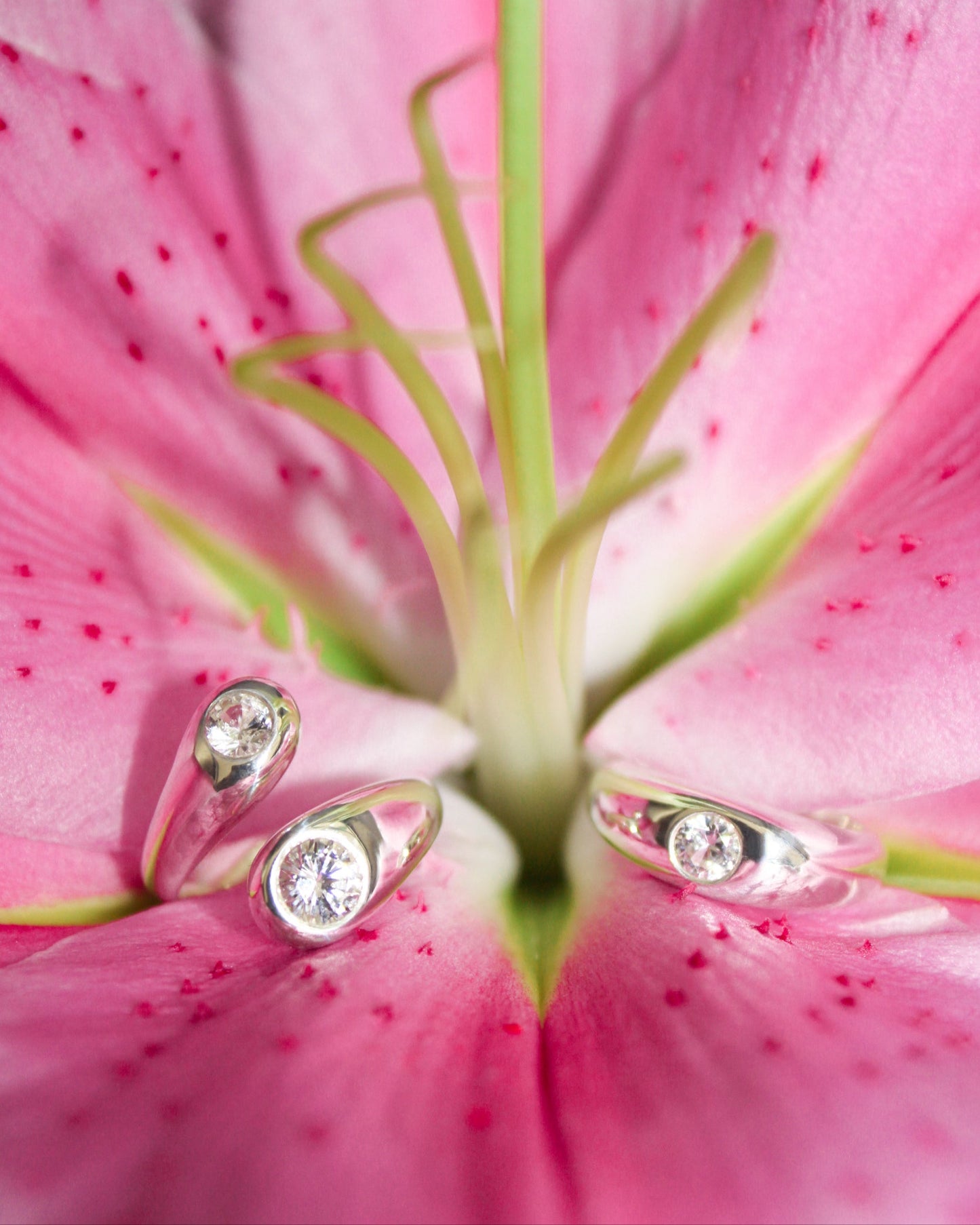 AMANDA RING